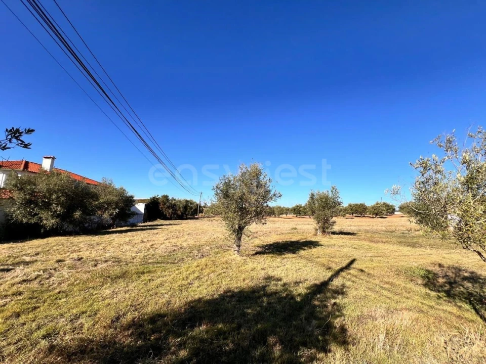 Moradia T3 para Venda em Casais e Alviobeira Foto 9