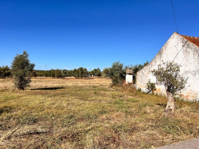 Moradia T3 para Venda em Casais e Alviobeira Foto 6