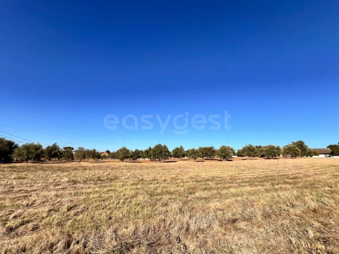 Moradia T3 para Venda em Casais e Alviobeira Foto 7