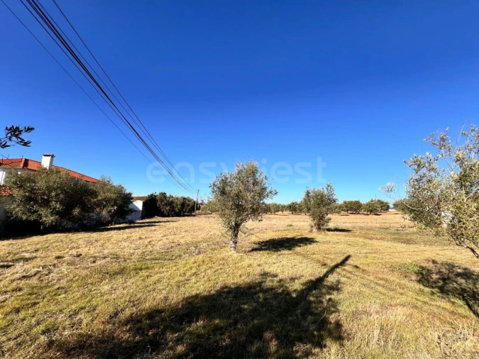 Moradia T3 para Venda em Casais e Alviobeira Foto 9