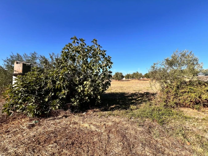 Moradia T3 para Venda em Casais e Alviobeira Foto 18