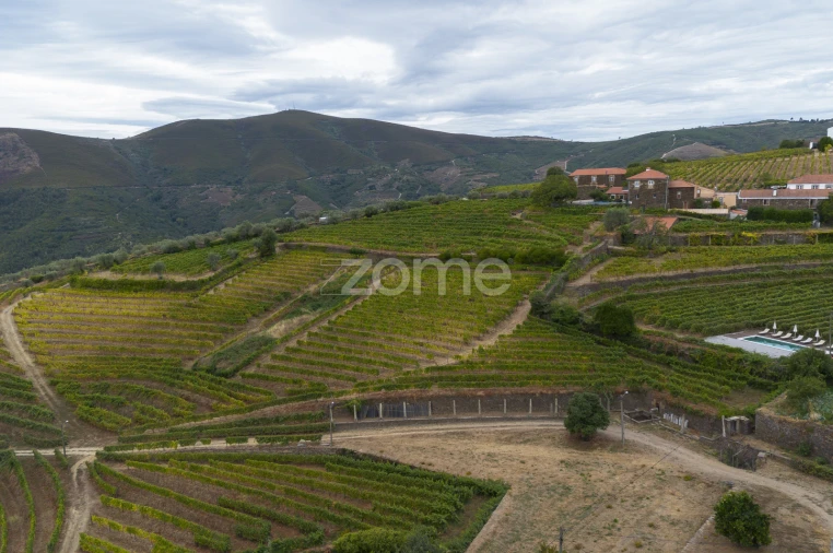 Moradia T2 para Venda em Provesende, Gouvães Douro, São Cristóvão Douro Foto 50
