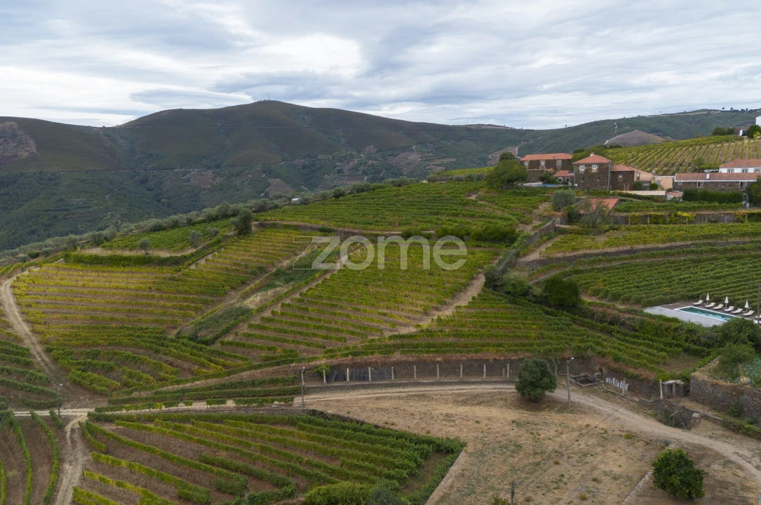 Moradia T2 para Venda em Provesende, Gouvães Douro, São Cristóvão Douro Foto 50