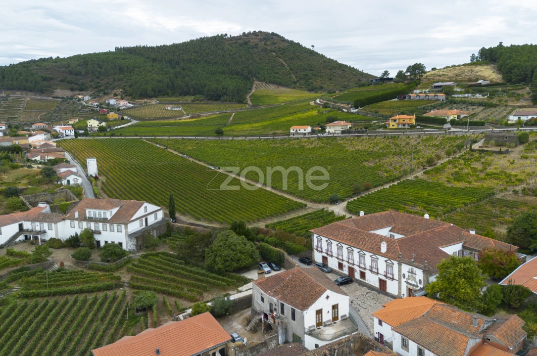 Moradia T2 para Venda em Provesende, Gouvães Douro, São Cristóvão Douro Foto 52