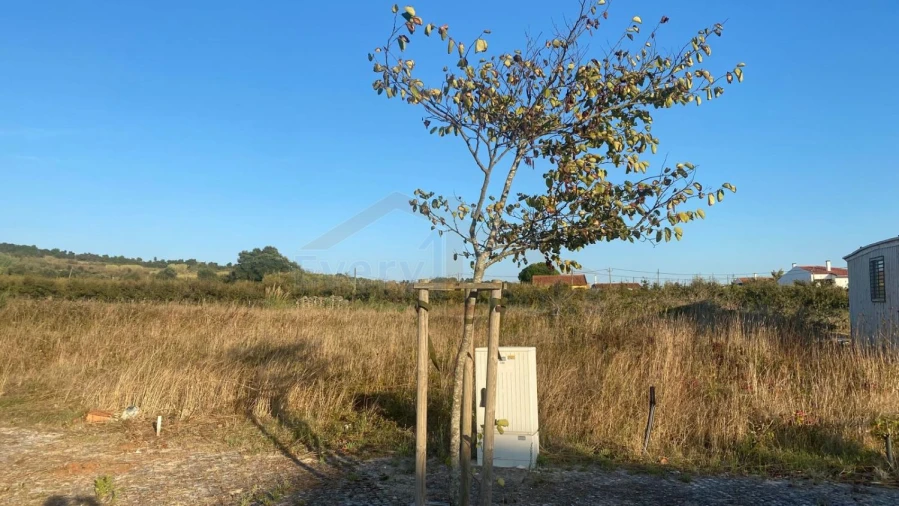 Terreno para Venda em Roliça Foto 4