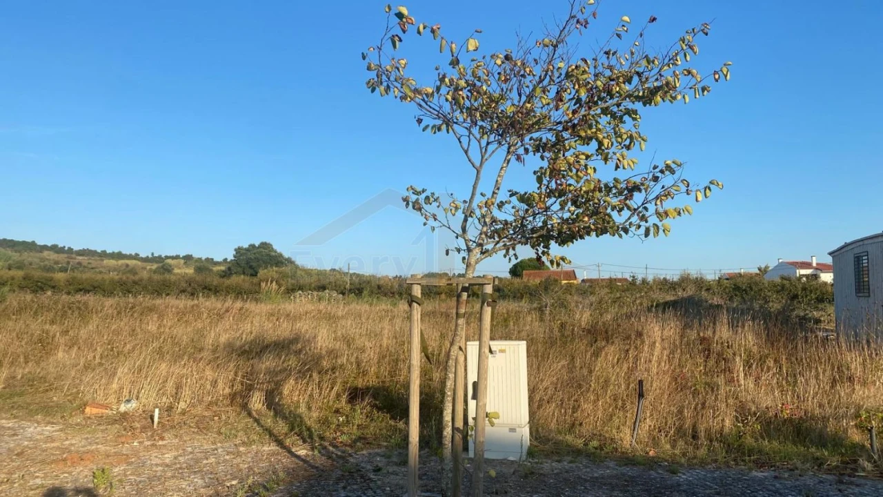 Terreno para Venda em Roliça Foto 6