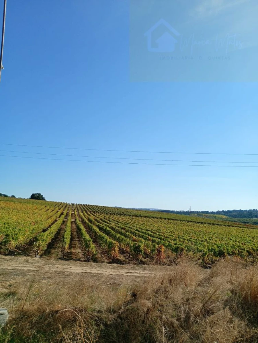 Moradia T2 para Venda em Viseu Foto 32