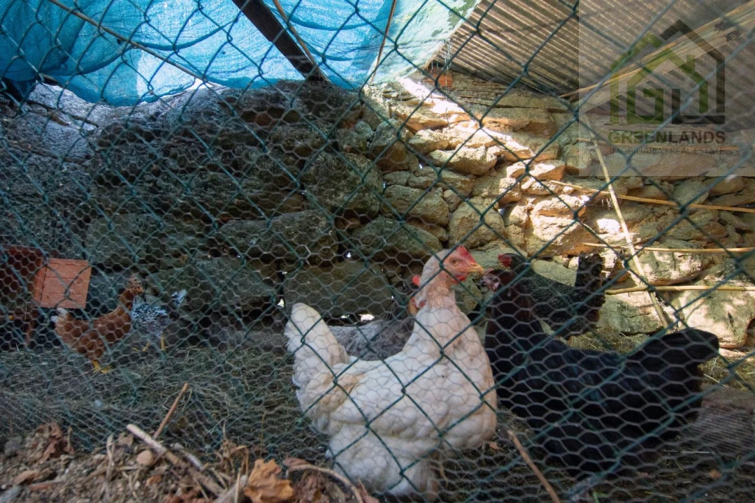 Moradia T2 para Venda em Lagares Foto 7