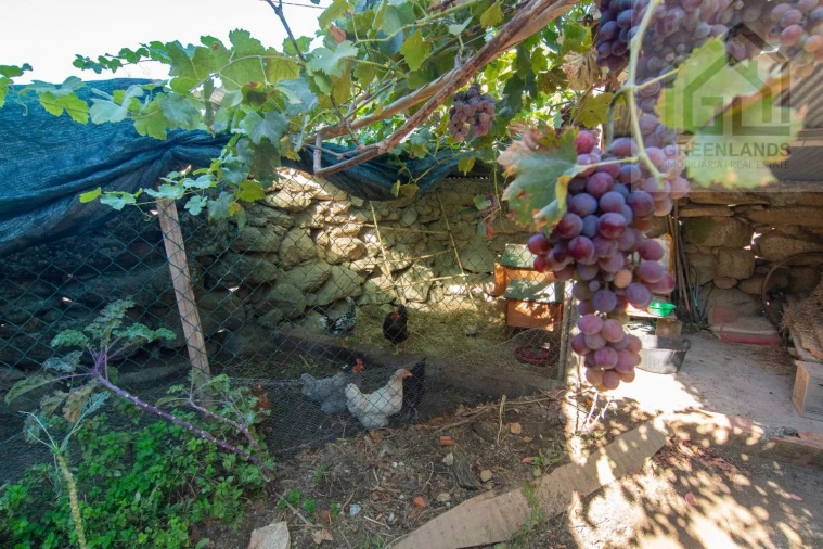 Moradia T2 para Venda em Lagares Foto 6