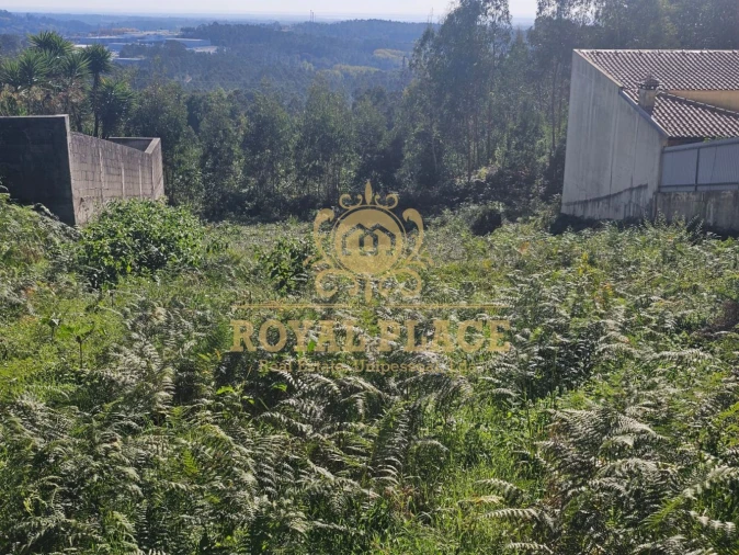 Terreno para Venda em São João de Ver Foto 8