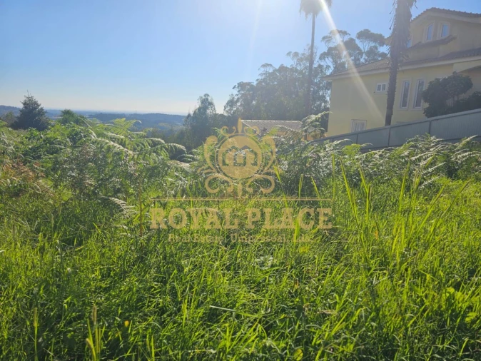 Terreno para Venda em São João de Ver Foto 7