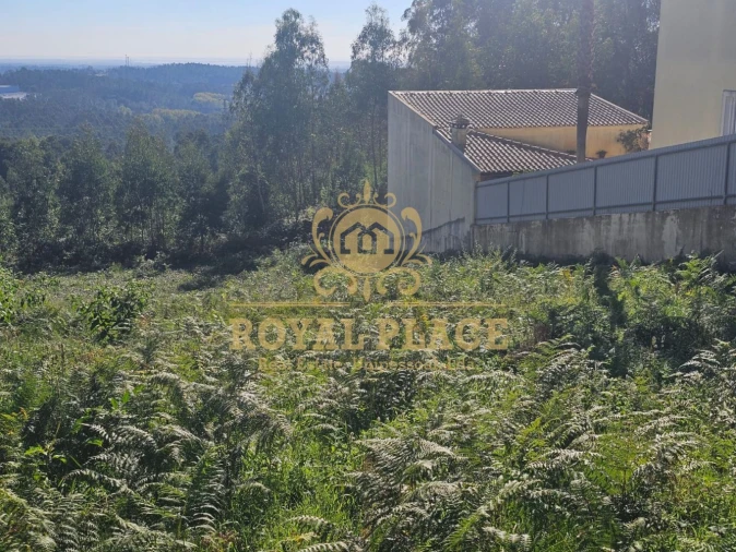 Terreno para Venda em São João de Ver Foto 5