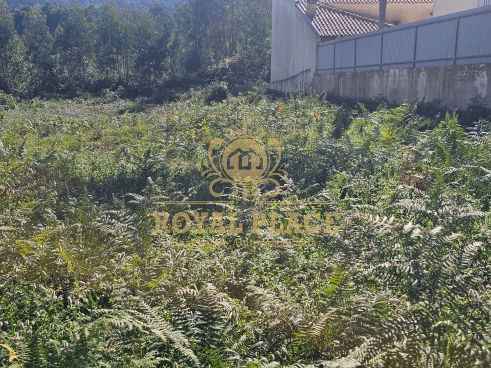 Terreno para Venda em São João de Ver Foto 9