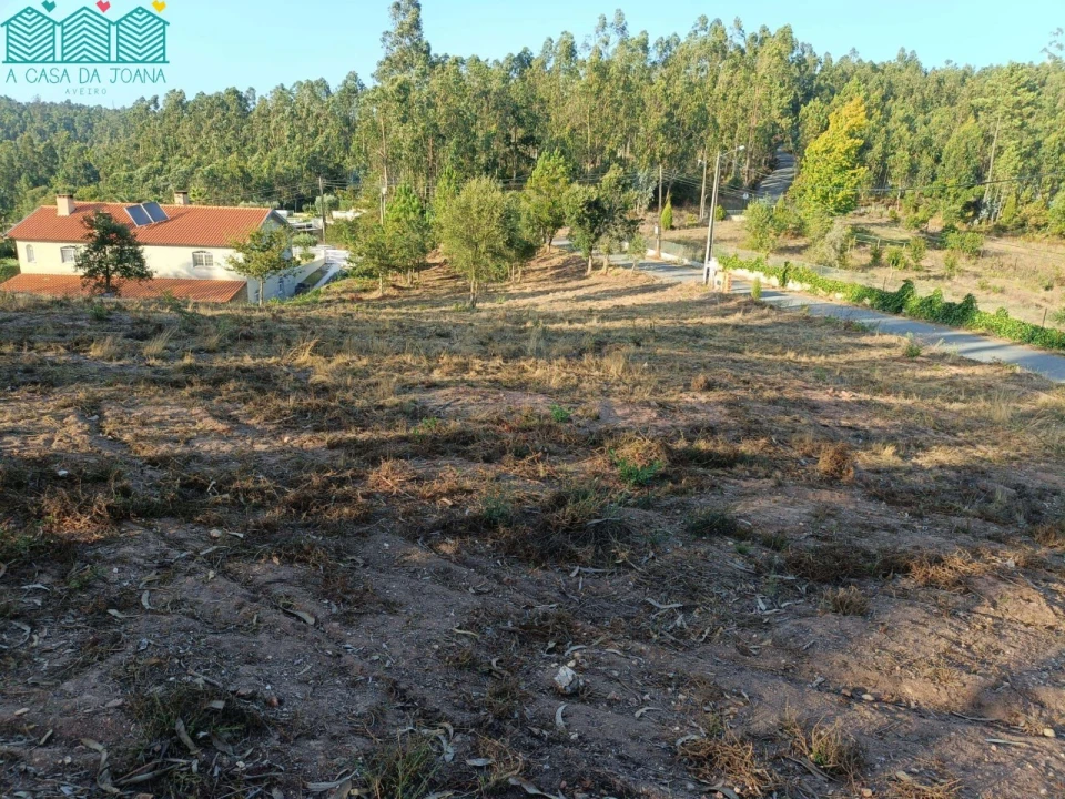 Terreno para Venda em Recardães e Espinhel Foto 3