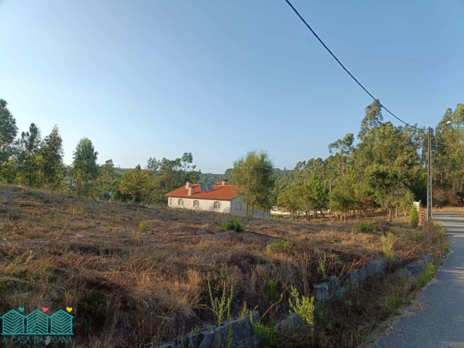 Terreno para Venda em Recardães e Espinhel