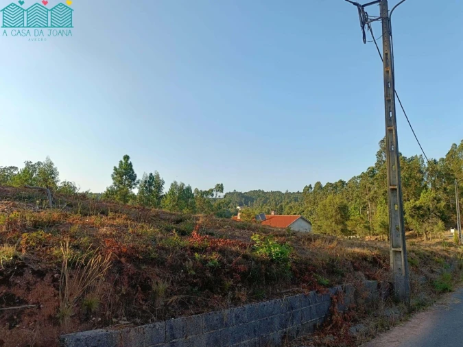 Terreno para Venda em Recardães e Espinhel Foto 4