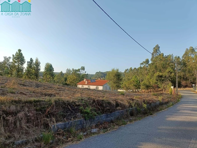 Terreno para Venda em Recardães e Espinhel Foto 5