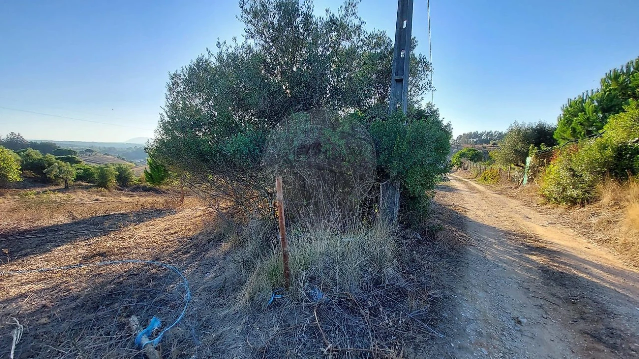Terreno para Venda em São João da Ribeira e Ribeira de São João Foto 2
