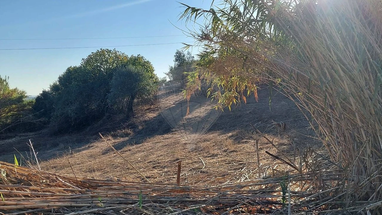 Terreno para Venda em São João da Ribeira e Ribeira de São João Foto 8