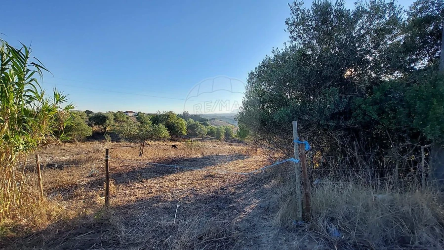 Terreno para Venda em São João da Ribeira e Ribeira de São João Foto 14