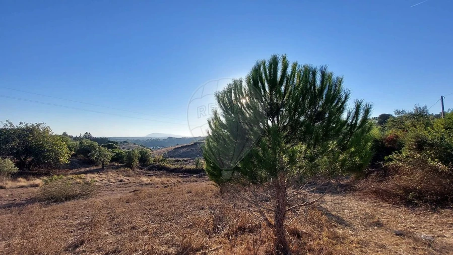 Terreno para Venda em São João da Ribeira e Ribeira de São João Foto 1