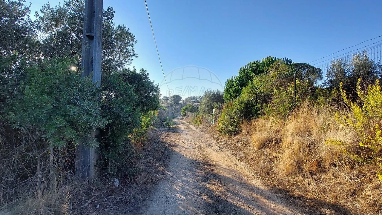 Terreno para Venda em São João da Ribeira e Ribeira de São João Foto 4