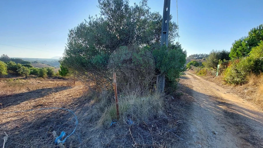 Terreno para Venda em São João da Ribeira e Ribeira de São João