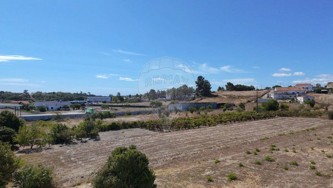 Terreno para Venda em Cartaxo e Vale da Pinta Foto 13