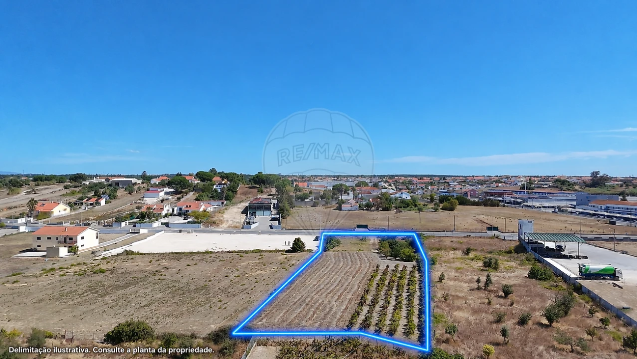 Terreno para Venda em Cartaxo e Vale da Pinta Foto 10