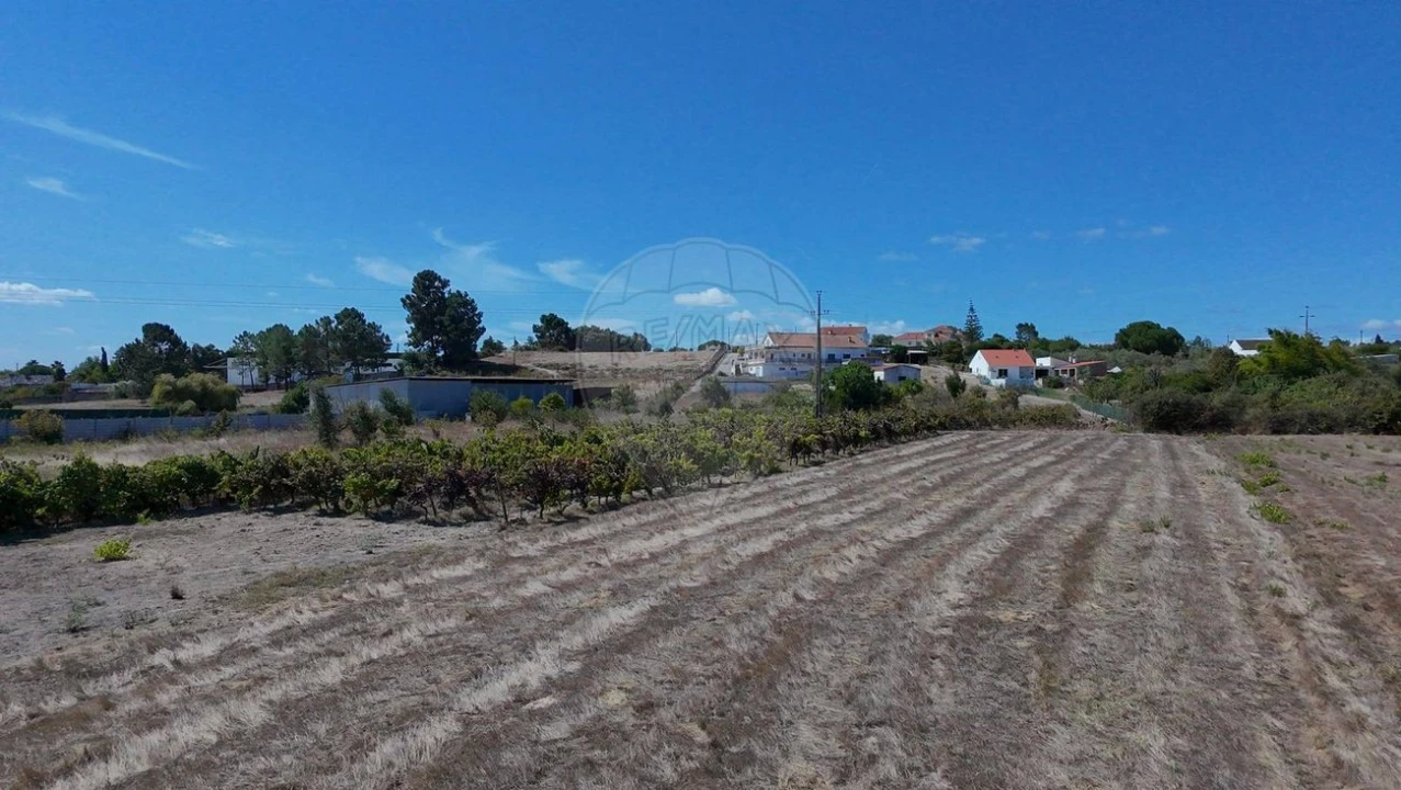 Terreno para Venda em Cartaxo e Vale da Pinta Foto 6