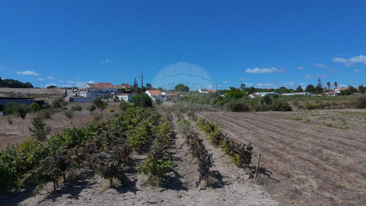 Terreno para Venda em Cartaxo e Vale da Pinta Foto 15