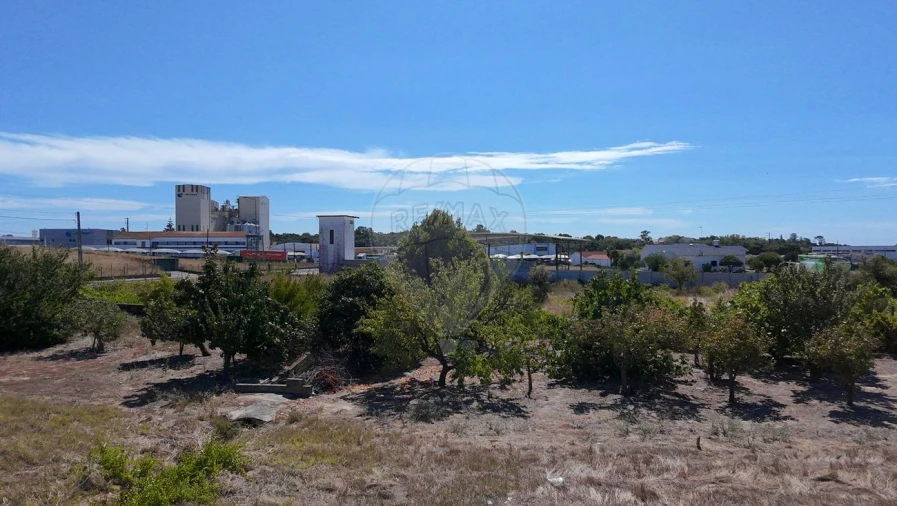 Terreno para Venda em Cartaxo e Vale da Pinta Foto 25
