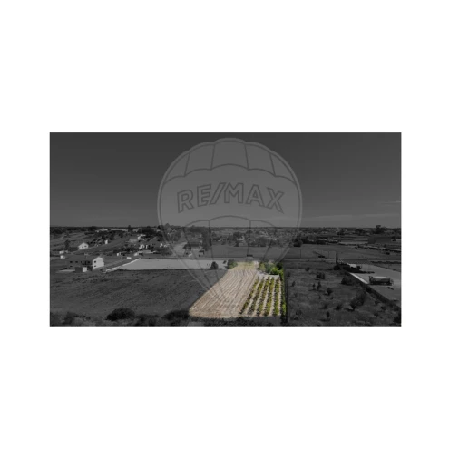 Terreno para Venda em Cartaxo e Vale da Pinta Foto 3