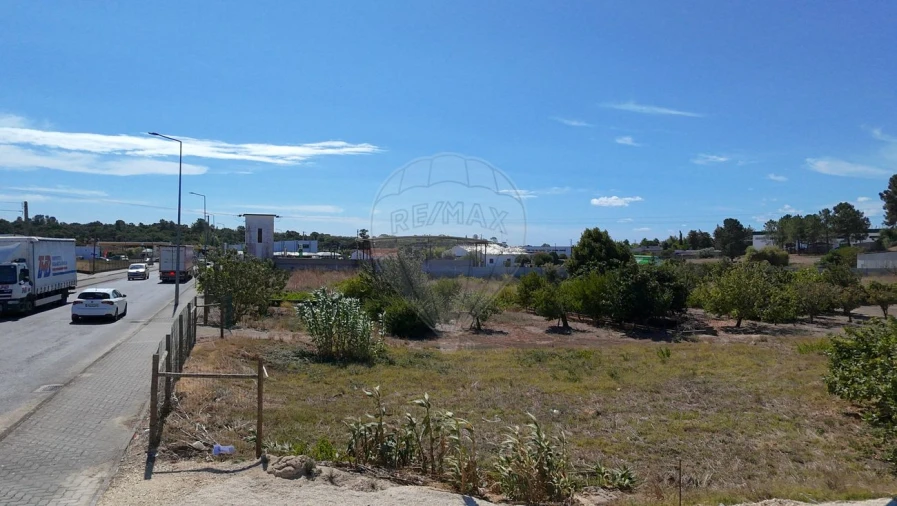 Terreno para Venda em Cartaxo e Vale da Pinta Foto 23