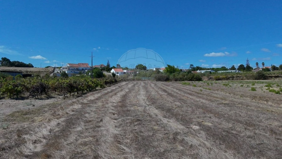 Terreno para Venda em Cartaxo e Vale da Pinta Foto 7