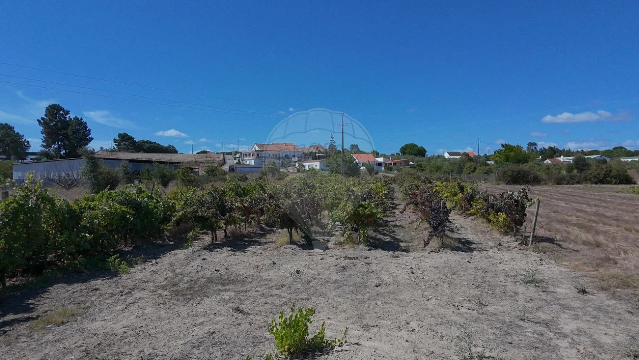 Terreno para Venda em Cartaxo e Vale da Pinta Foto 24