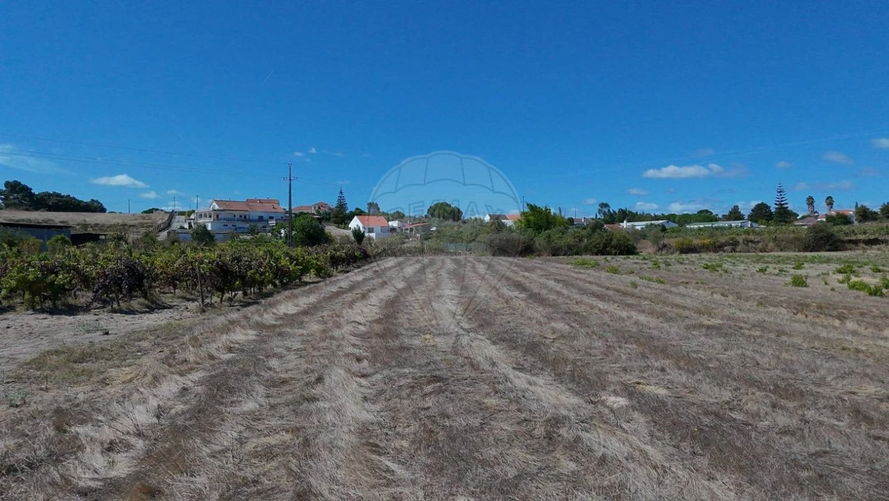 Terreno para Venda em Cartaxo e Vale da Pinta Foto 7
