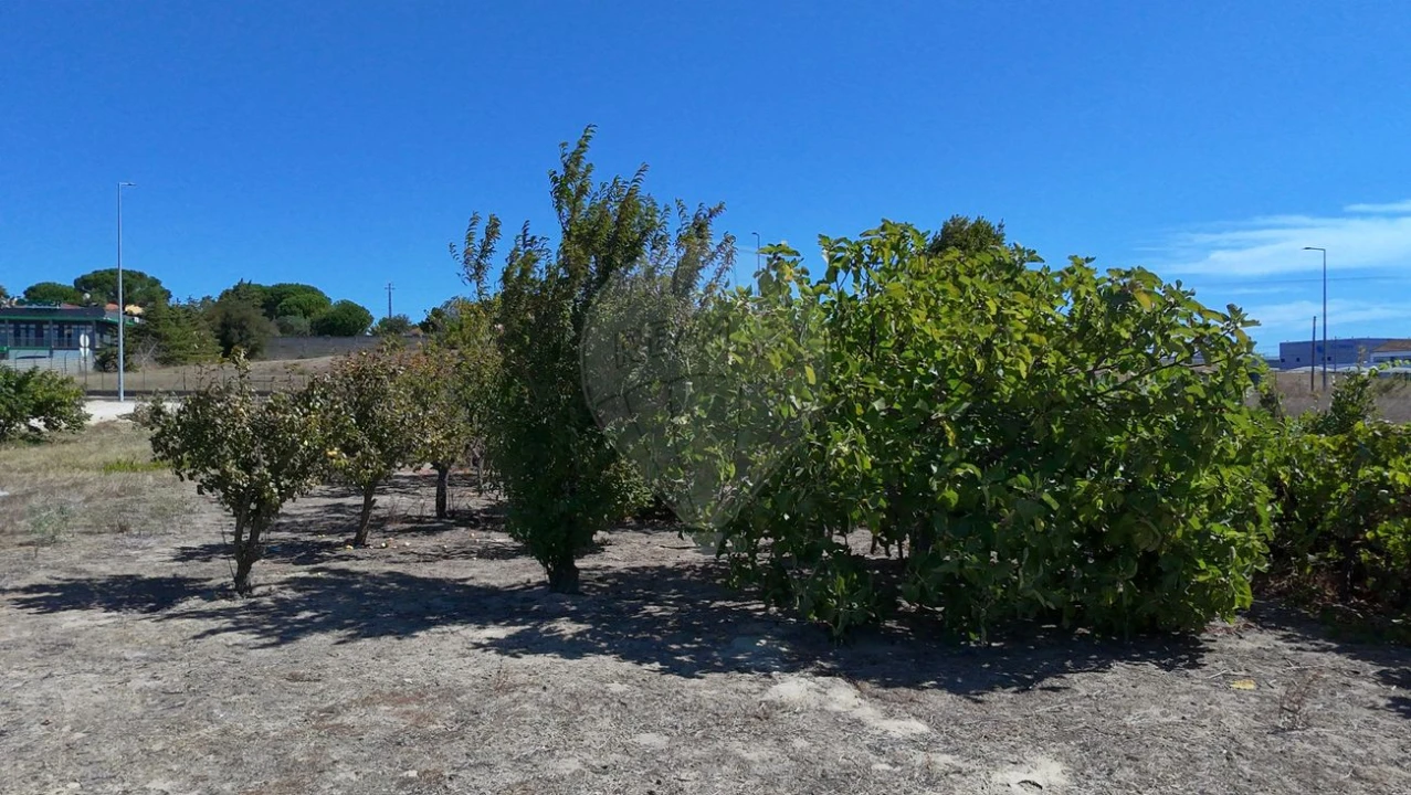 Terreno para Venda em Cartaxo e Vale da Pinta Foto 22