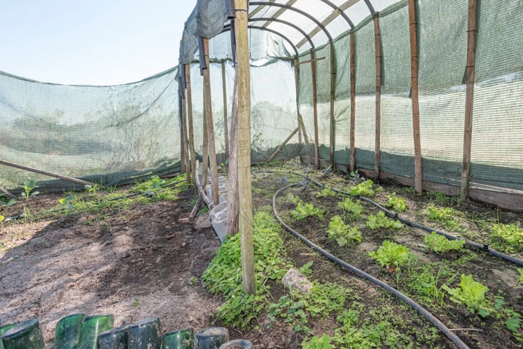 Moradia T2 para Venda em Marinhais Foto 41