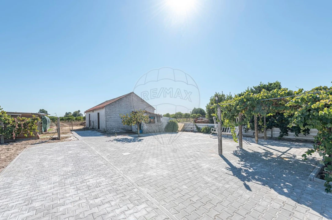 Moradia T4 para Venda em Marinhais Foto 37