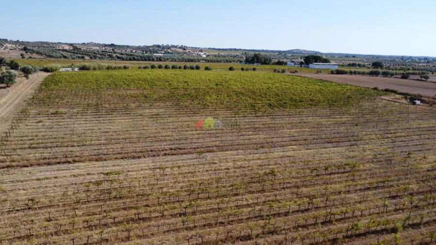 Quinta T2 para Venda em Redondo Foto 12