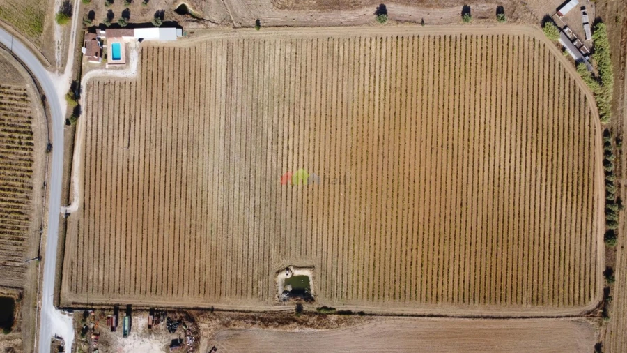 Quinta T2 para Venda em Redondo Foto 10