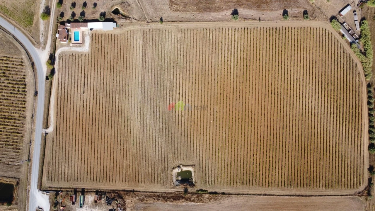 Quinta T2 para Venda em Redondo Foto 9