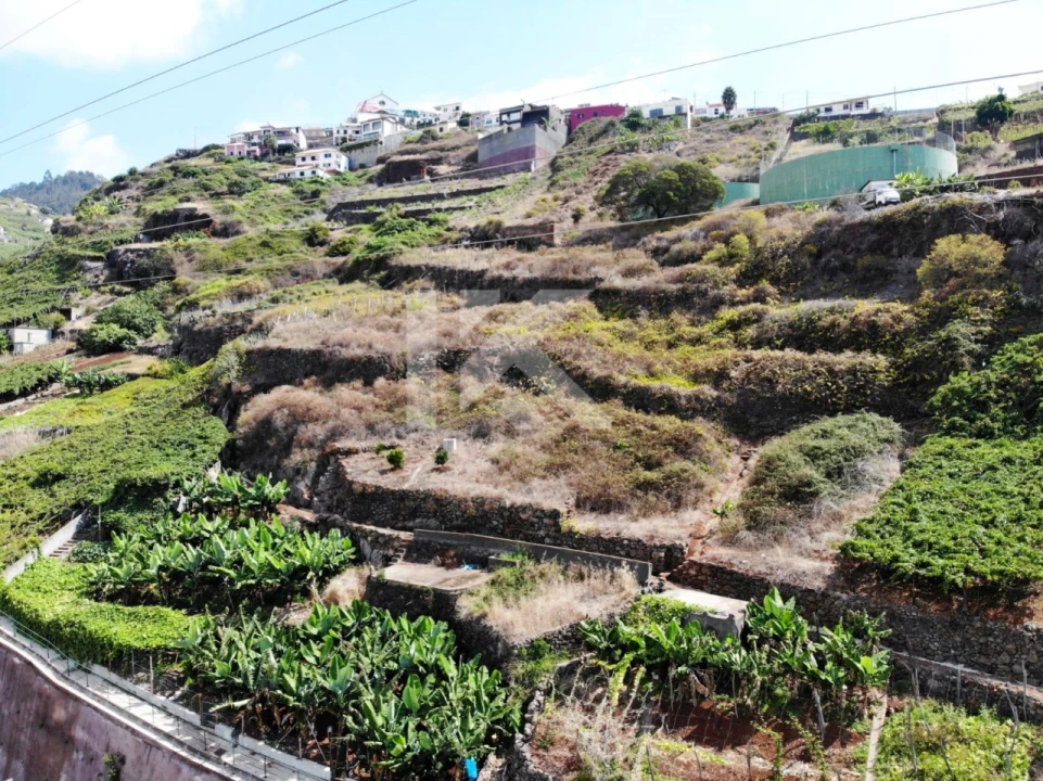 Terreno para Venda em Estreito de Camara de Lobos Foto 7