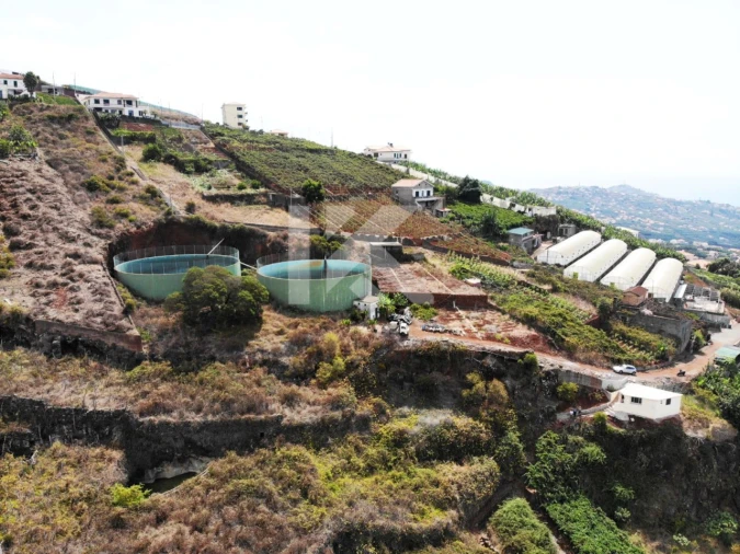 Terreno para Venda em Estreito de Camara de Lobos Foto 8
