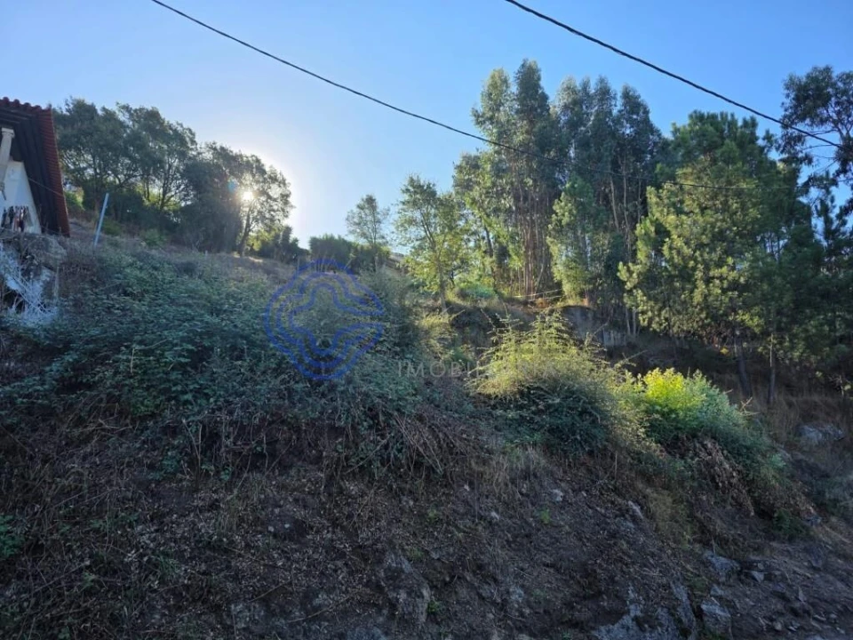 Terreno para Venda em Rebordões Foto 6