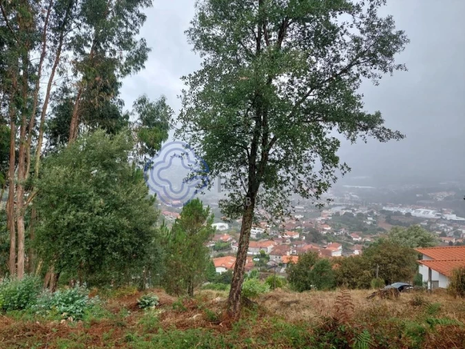 Terreno para Venda em Rebordões