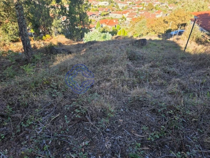 Terreno para Venda em Rebordões Foto 10