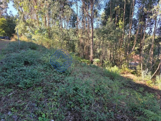 Terreno para Venda em Rebordões Foto 11