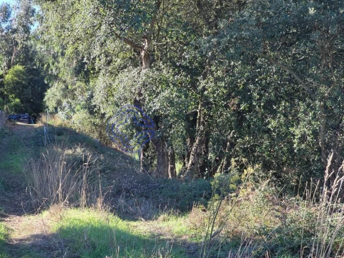 Terreno para Venda em Rebordões Foto 16